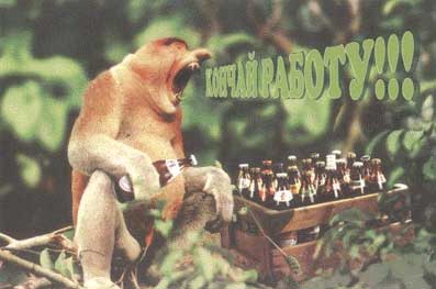 обезьяна с пивом